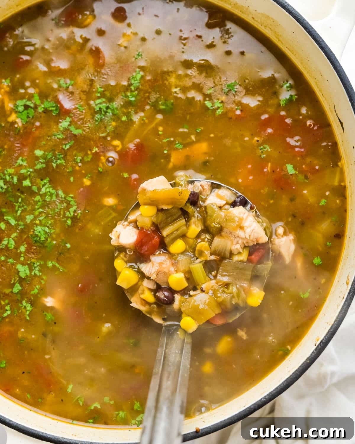 I was scooping the chicken taco soup from the Dutch oven.