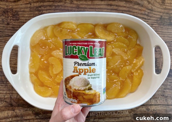 Spread apple pie filling into the baking dish.