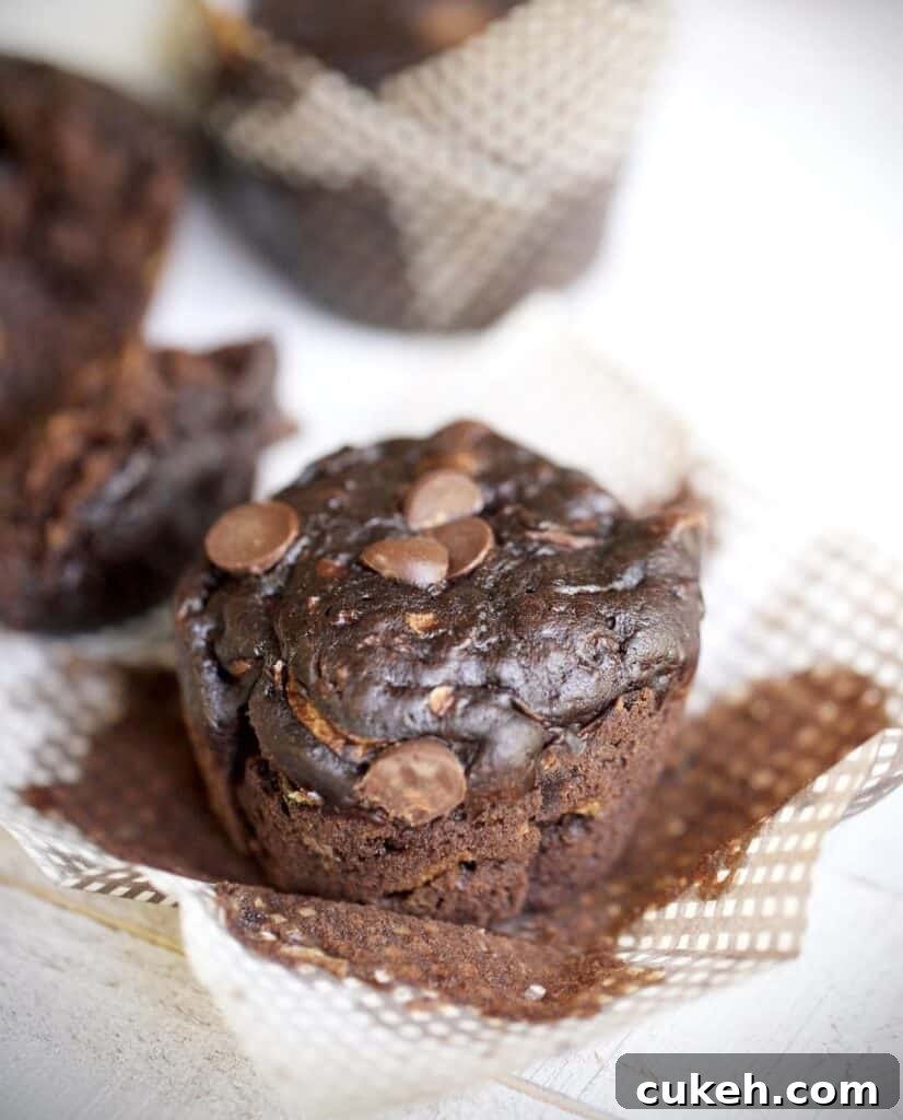 chocolate zucchini muffin