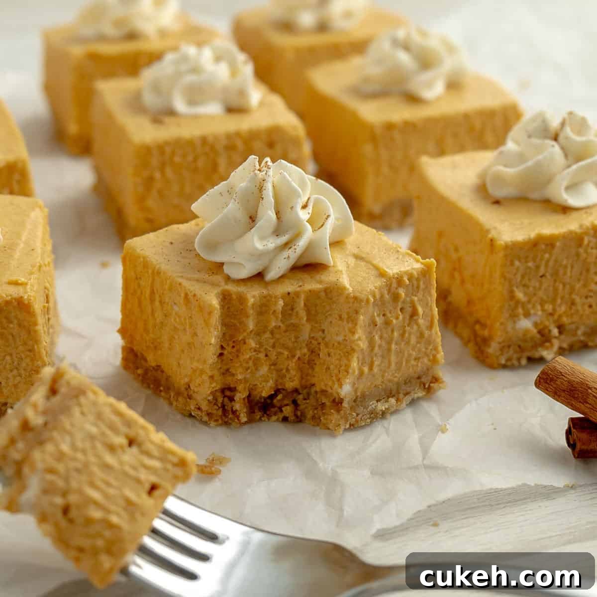 A square of cheesecake topped with whipped cream and a fork with a piece of cake on the end.