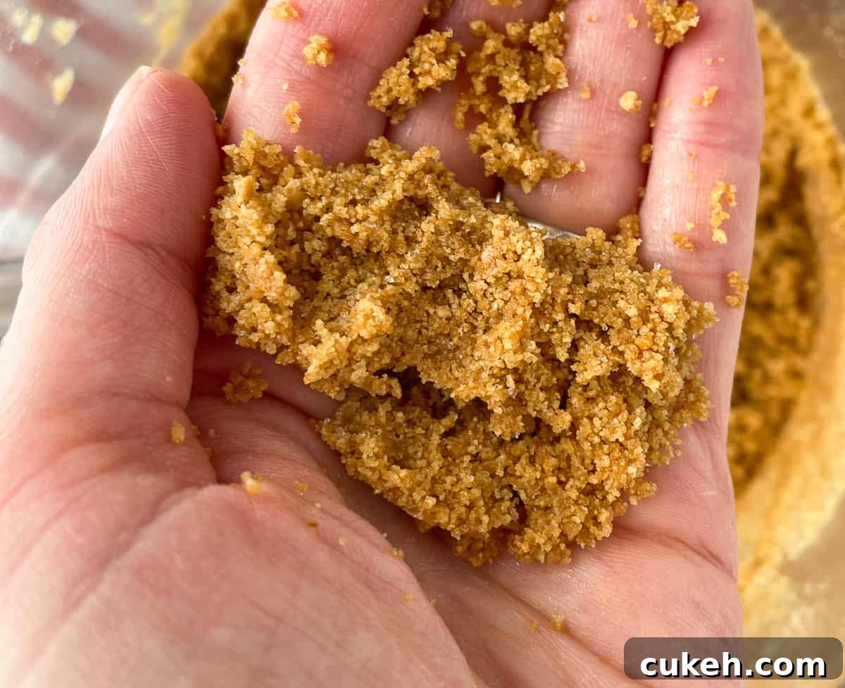 Graham cracker crumbs clumping in a hand.