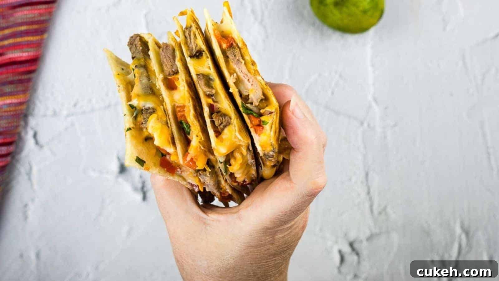 A hand holding wedges of a quesadilla.