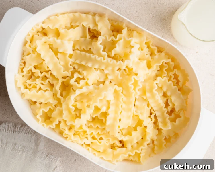 Cooked pasta in strainer
