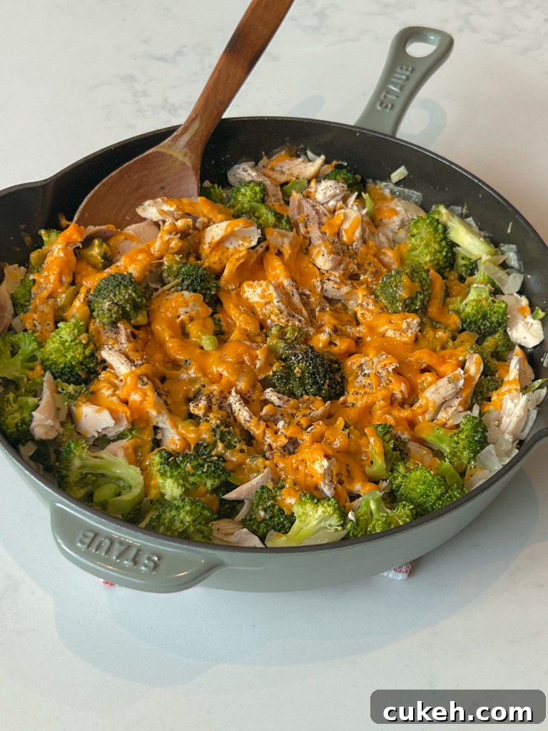 Chicken and Broccoli Skillet with Garlic Butter Sauce 3 img 8567 2