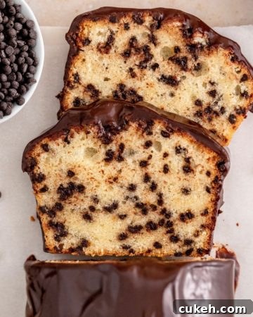 Chocolate Chip Loaf Cake
