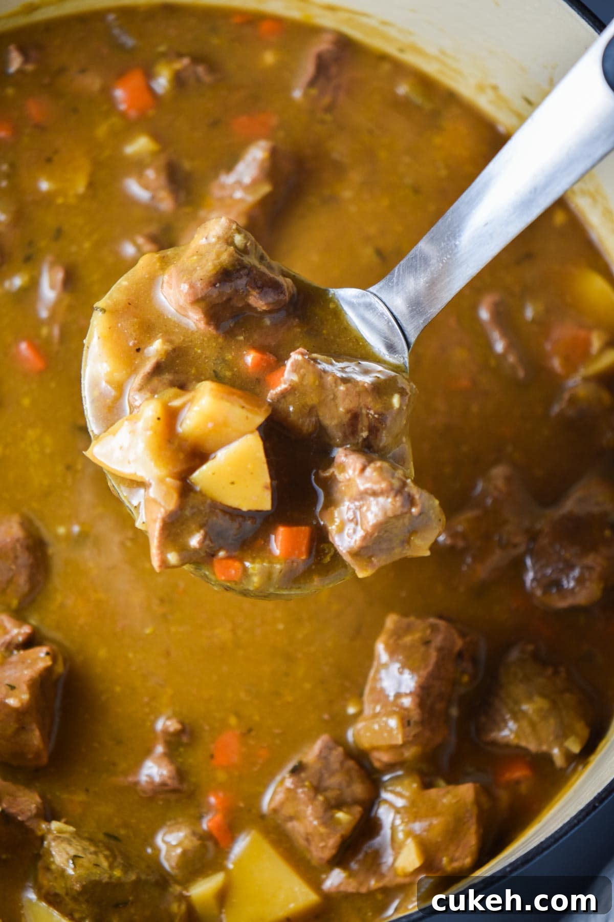 A ladle spooning out stew from dutch oven