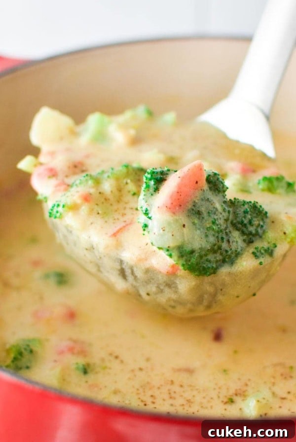 A ladle filled with Boursin broccoli cheese soup coming out of a red pot
