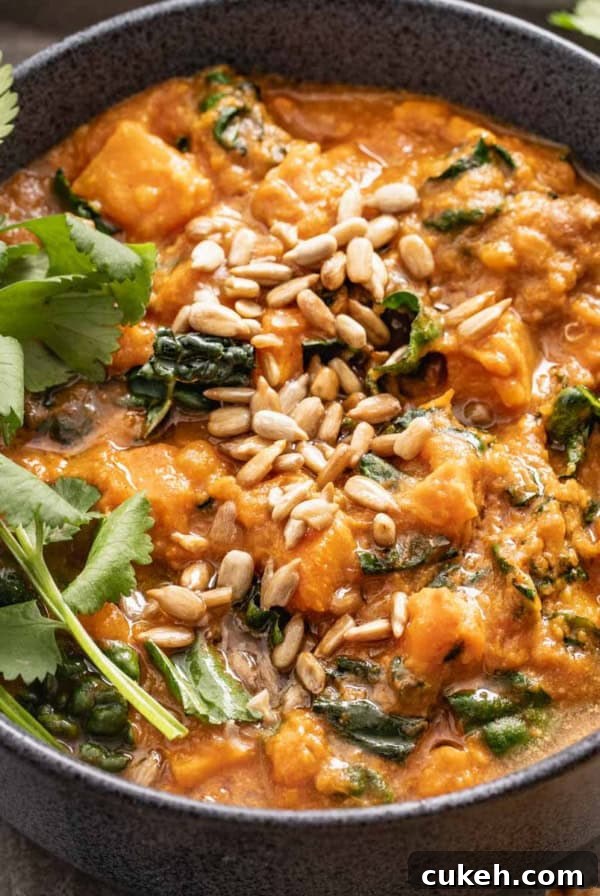 A bowl of sweet potato stew topped with cilantro and roasted sunflower seeds.