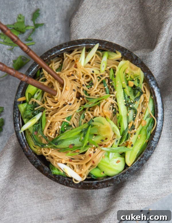 Quick Sesame Ginger Noodles Ready in 15 Minutes 3 15 sesame ginger noodles are quick and easy to make!