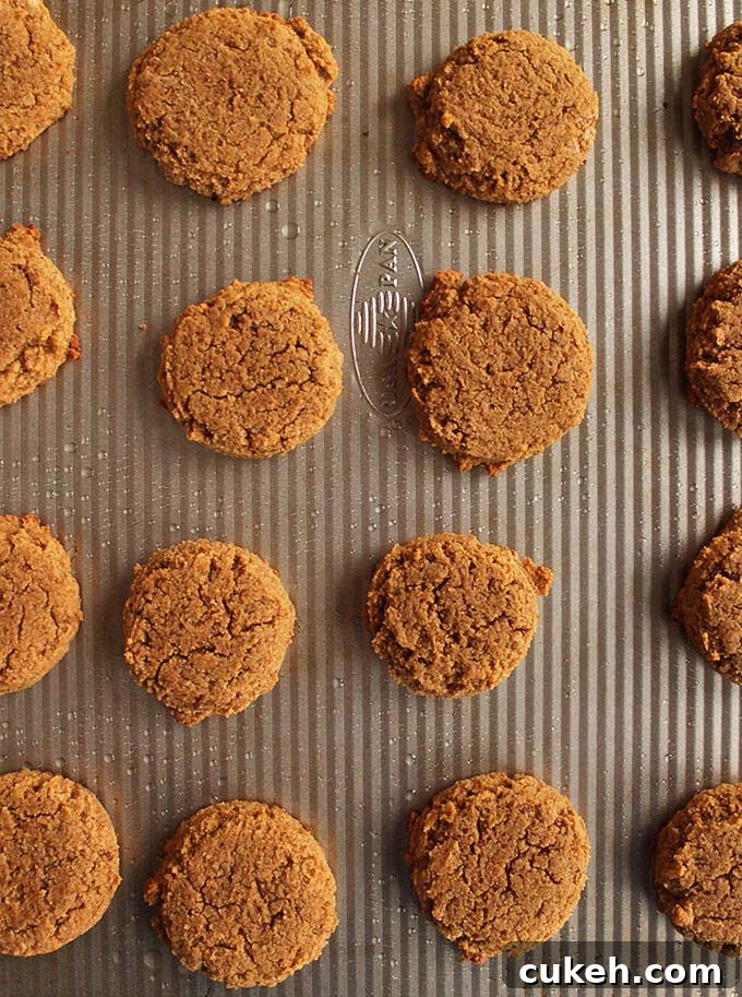 Soft pumpkin cookies with cashew frosting - Pillow-y soft pumpkin cookies topped with cashew frosting that tastes like buttercream. The perfect dessert recipe for fall or the holidays, especially Thanksgiving! (Gluten free and Dairy Free) | robustrecipes.com