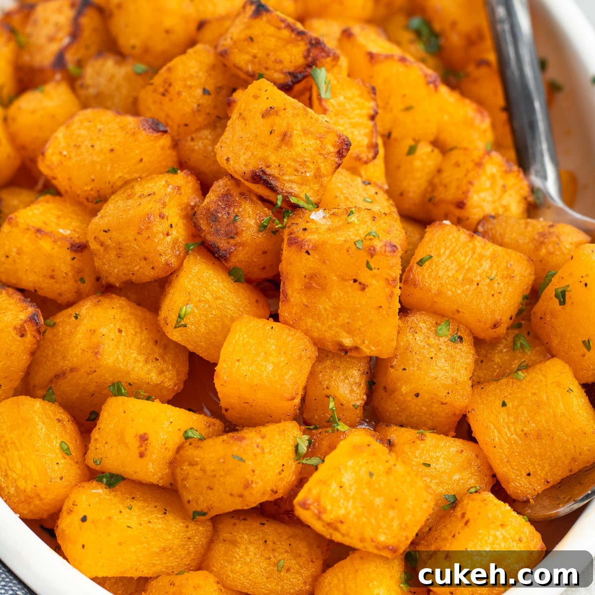 This is a close-up pictures of air fryer butternut squash.