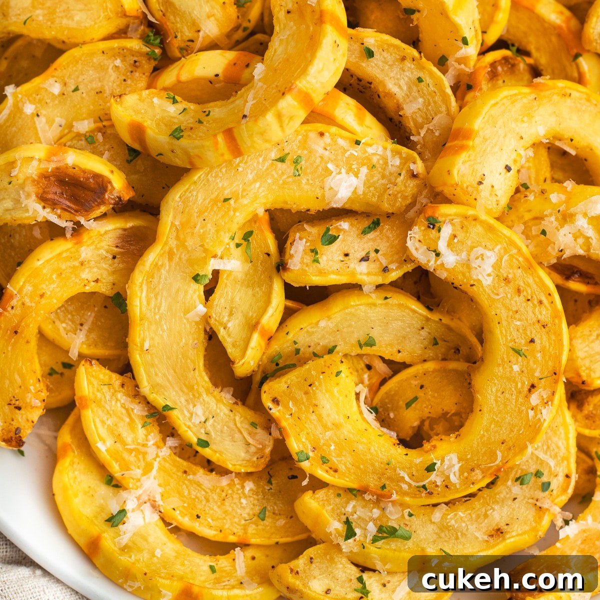 This is a square picture of air fried delicata squash.