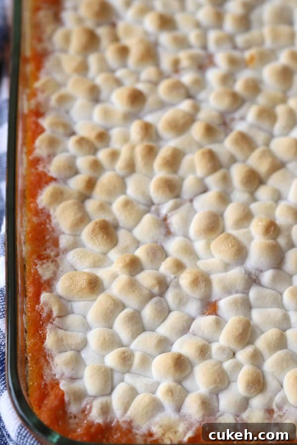 A baking dish with sweet potato casserole with marshmallows on top.