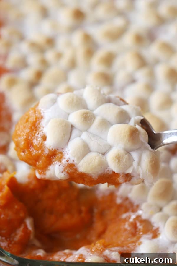 A spoon scooping up mashed sweet potatoes with marshmallows.