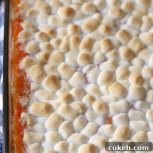 Sweet Potato Casserole in a glass baking dish, covered with marshmallows.