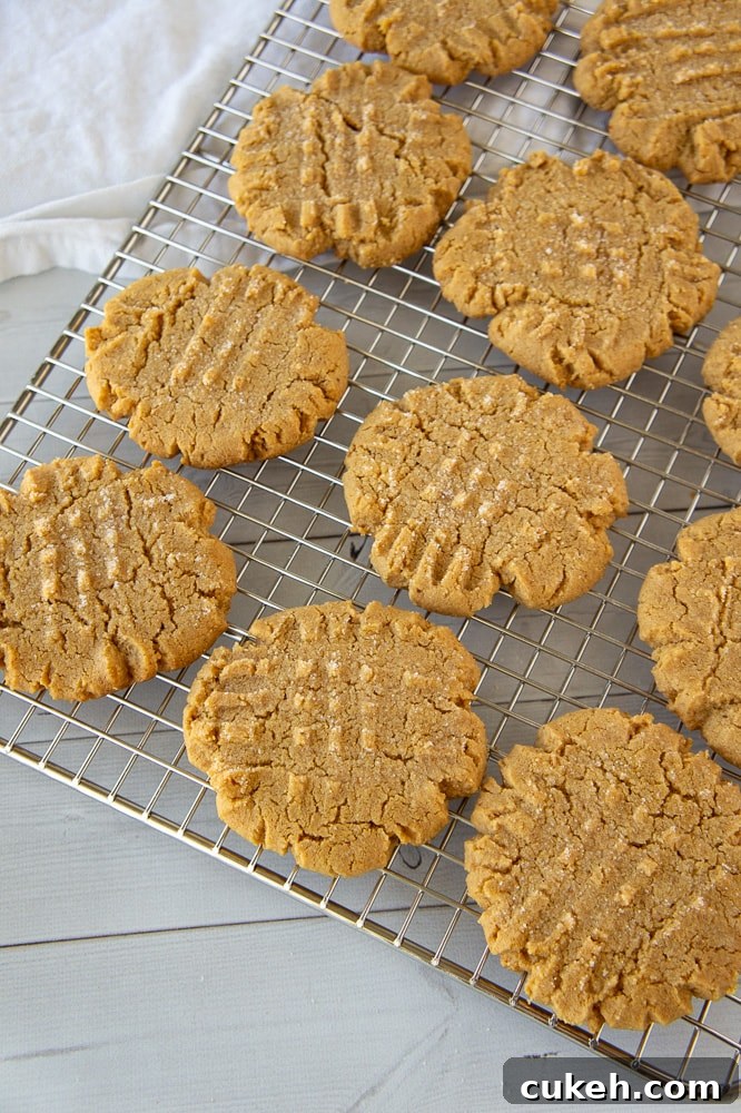 a cooling rack of peanut butter cookies