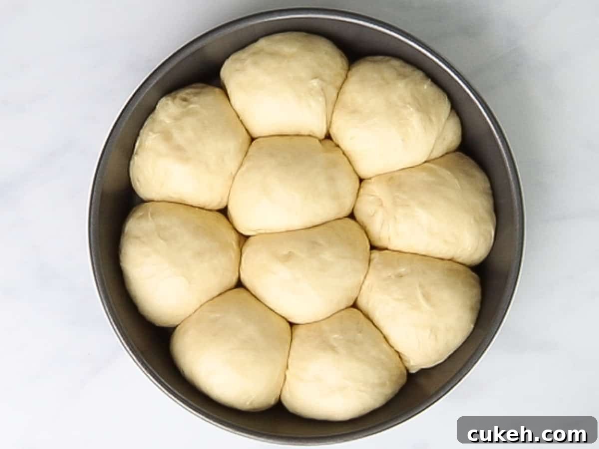 Brioche rolls proofing in a round baking pan until it doubles in size.
