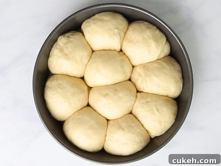 Brioche rolls proofing in a round baking pan until it doubles in size.