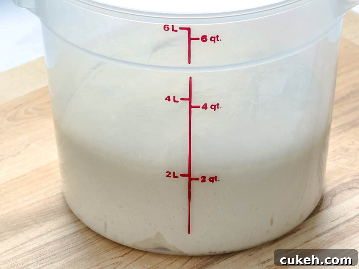 Brioche dough doubled in size after proofing.