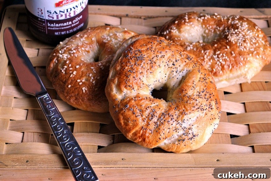 new york bagel recipe